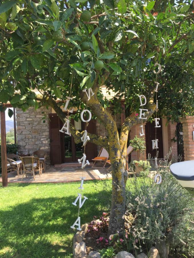 B&B La Nonnina Del Cilento Casal Velino Kültér fotó