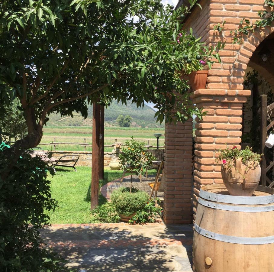 B&B La Nonnina Del Cilento Casal Velino Kültér fotó